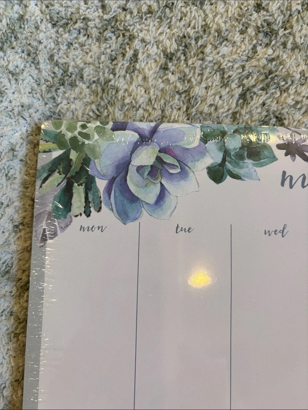 Clementine stay organized